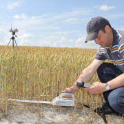 SS1 SunScan canopy analyser in low lying crops